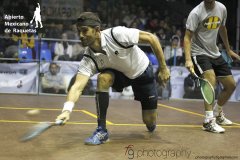 amr_golan_al_fathi.jpg